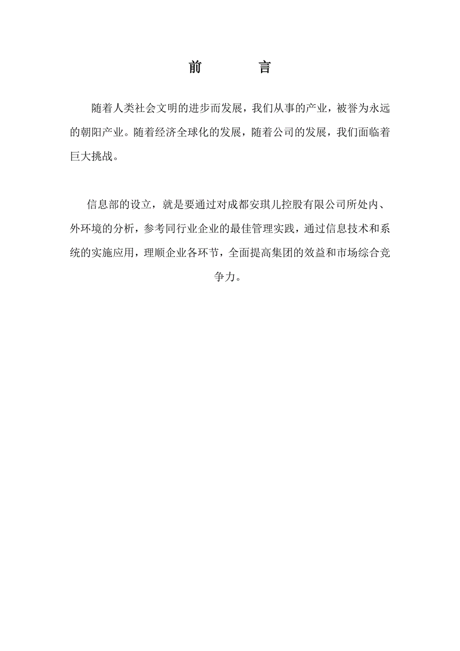 某控股有限公司信息部工作指导手册_第3页