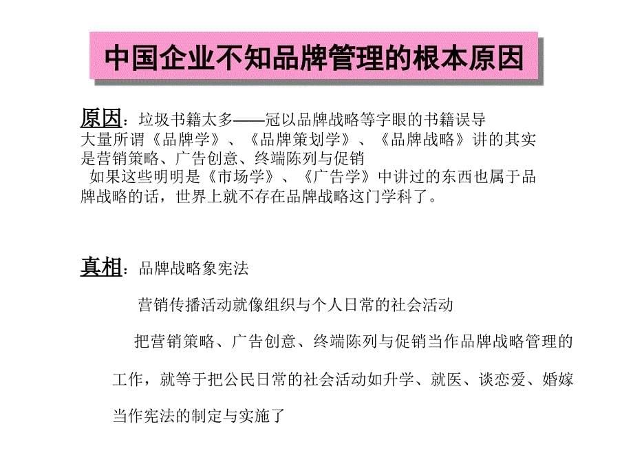 讲稿打造强势大品牌的黄金法则_第5页