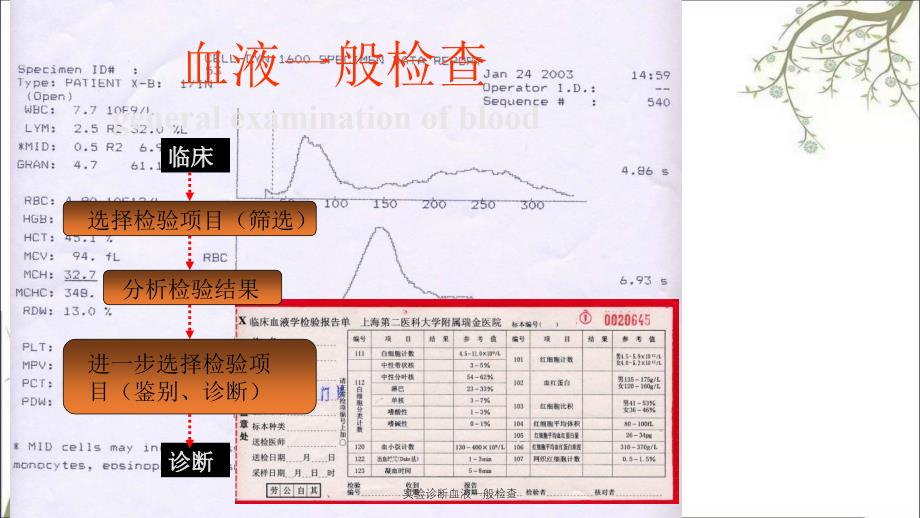 实验诊断血液一般检查_第2页