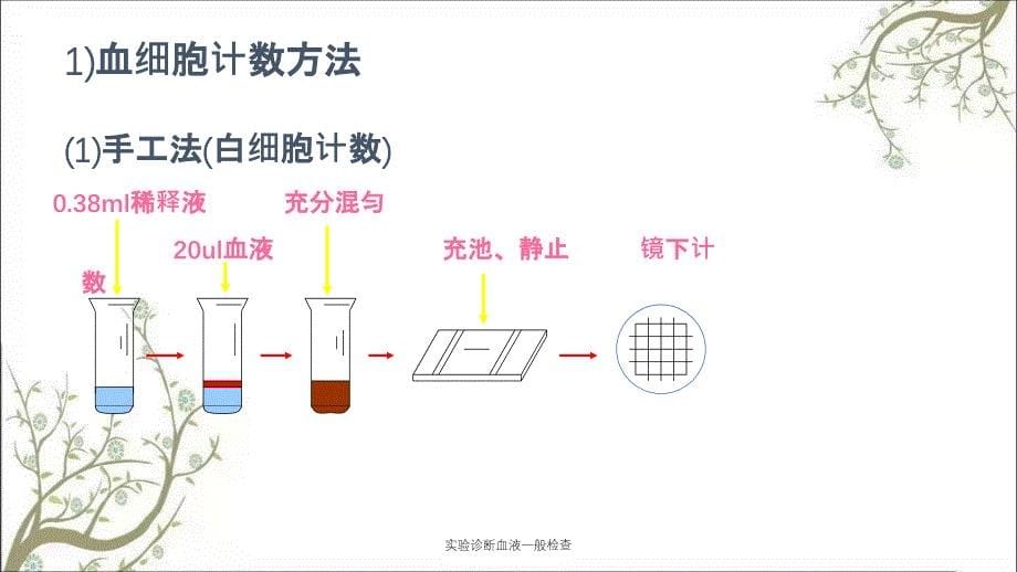 实验诊断血液一般检查_第5页