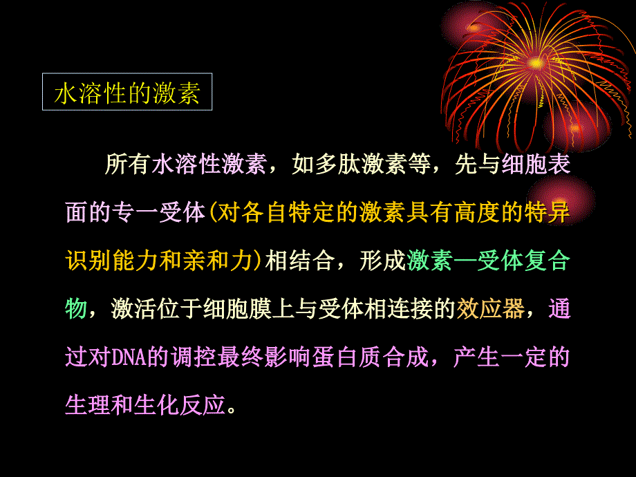 中国海洋大学细胞生物学课件15基因表达与蛋白质的生物合成课件_第2页