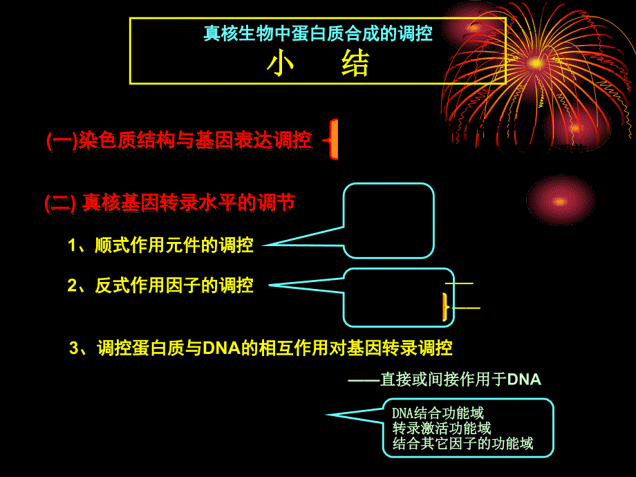 中国海洋大学细胞生物学课件15基因表达与蛋白质的生物合成课件_第4页