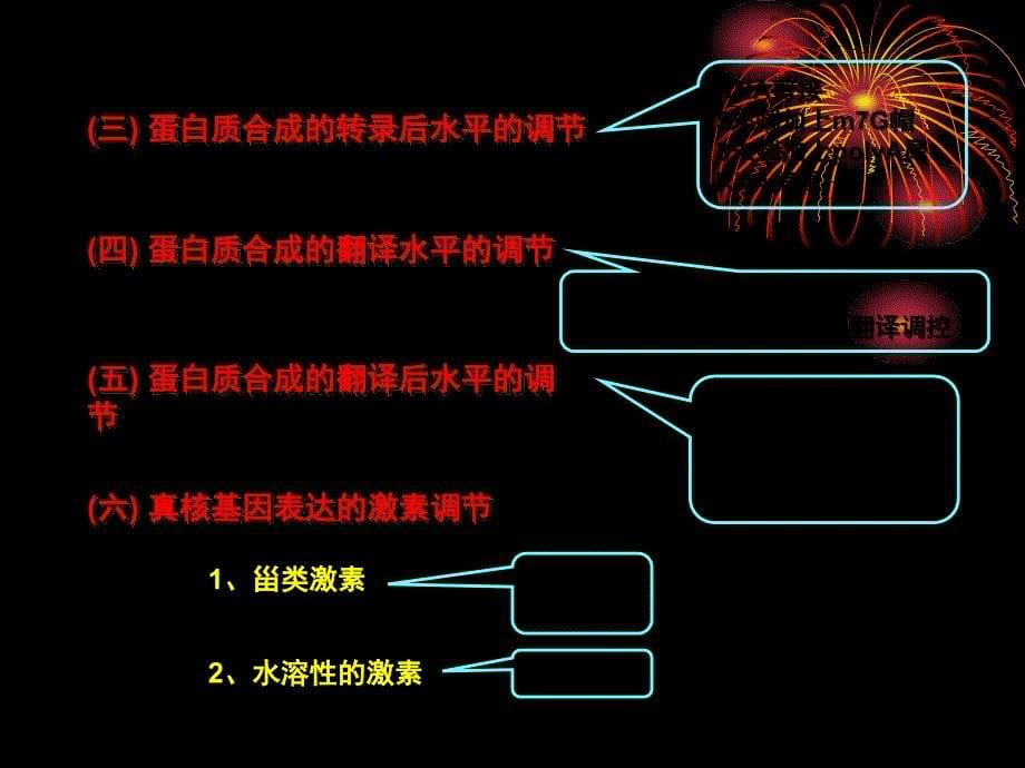 中国海洋大学细胞生物学课件15基因表达与蛋白质的生物合成课件_第5页