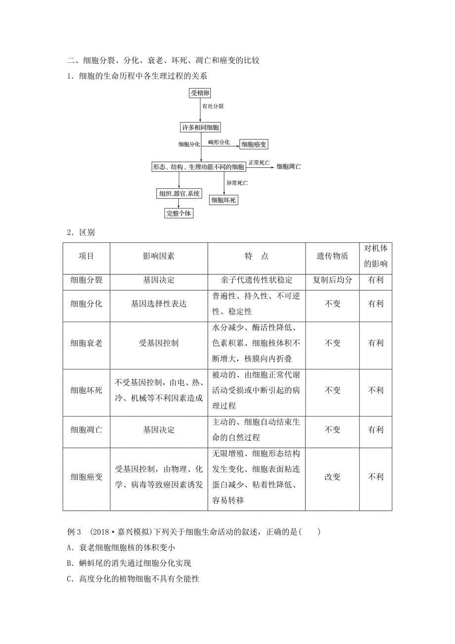 2022-2023版高中生物 第四章 细胞的增殖与分化章末总结学案 浙科版必修1_第5页