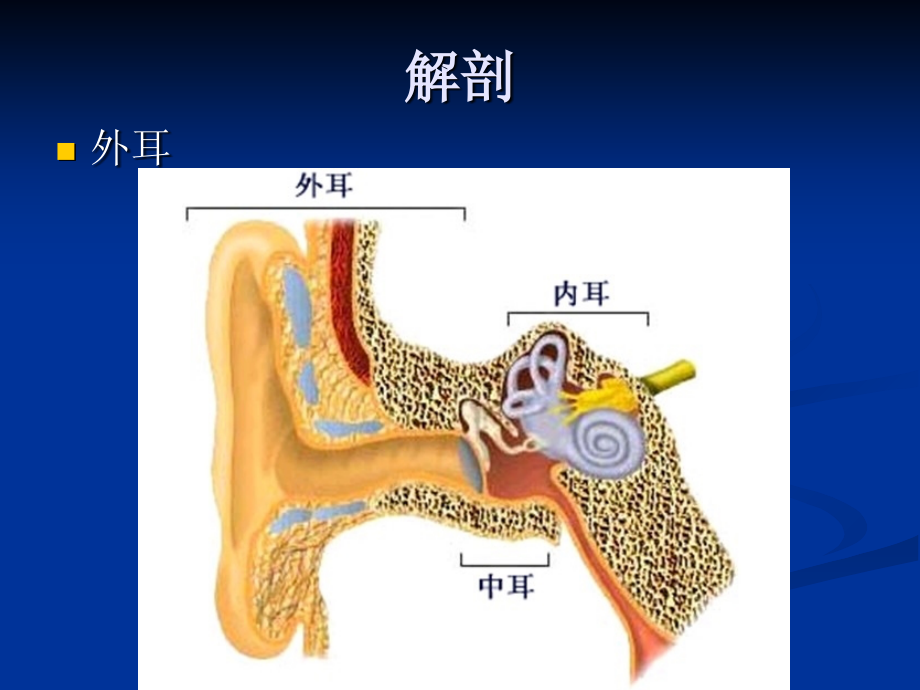 耳颞部解剖及常见疾病诊断CT_第3页