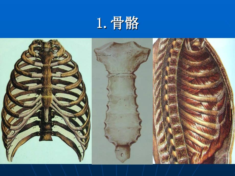 10f胸外科带教资料胸部损伤完成版_第3页