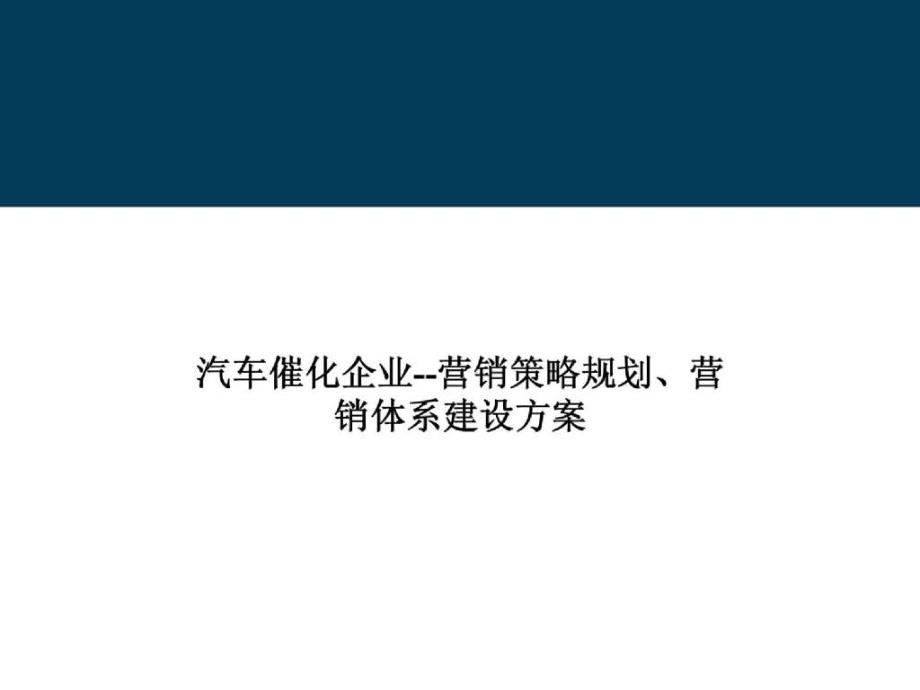 汽车催化企业营销策略规划、营销体系建设方案_第1页