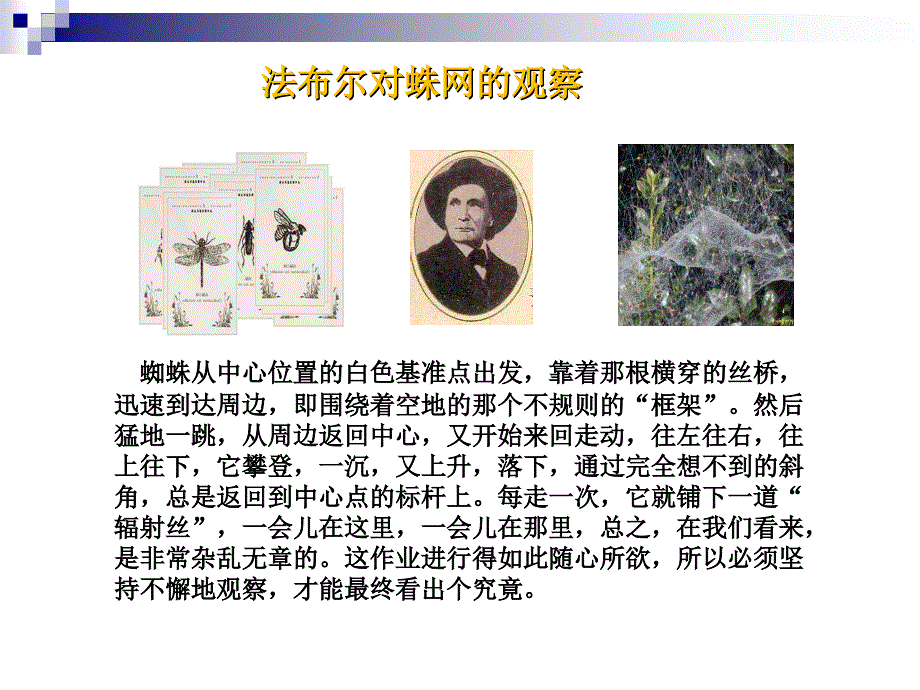 第二节观察与实验_第3页