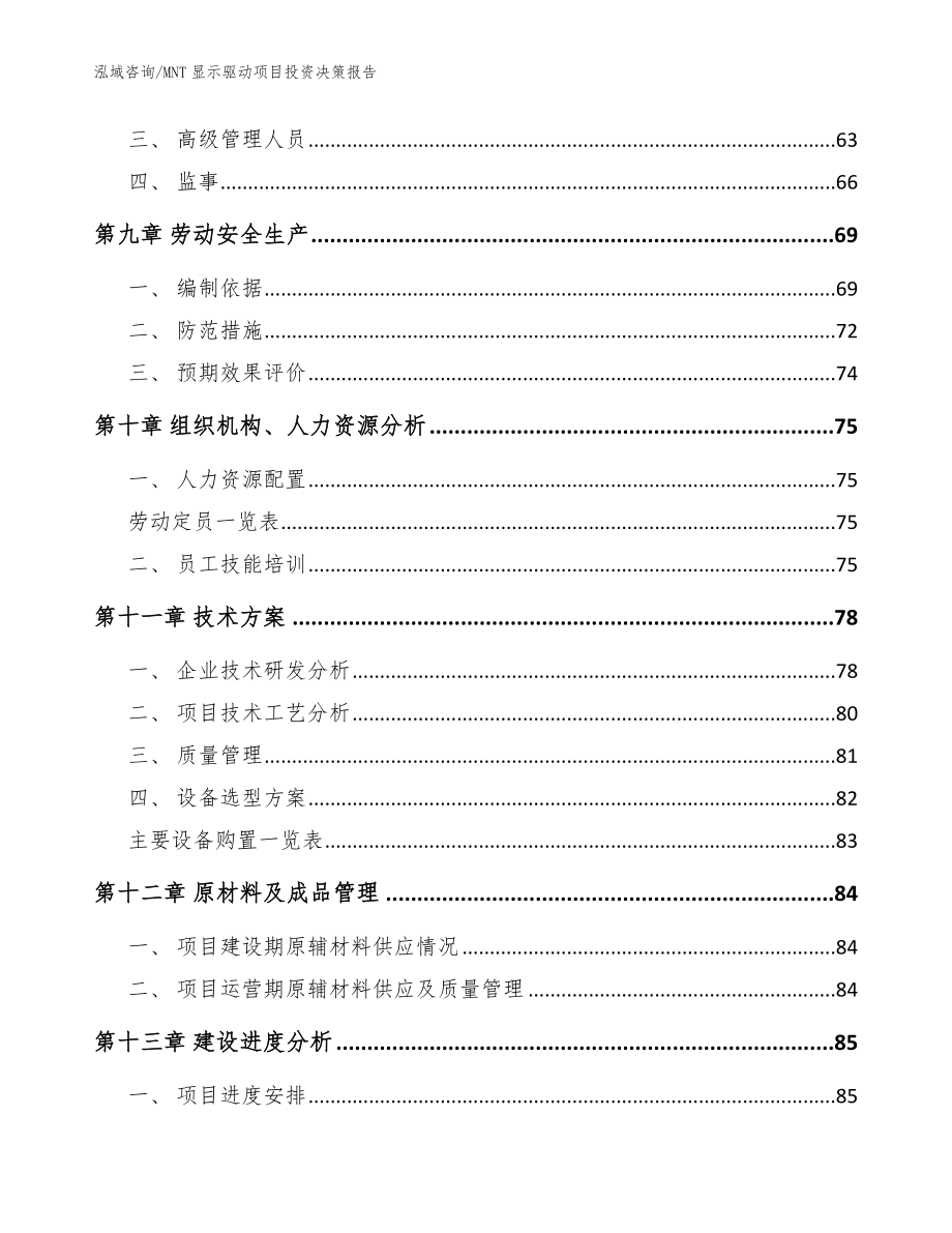 MNT显示驱动项目投资决策报告（模板）_第4页