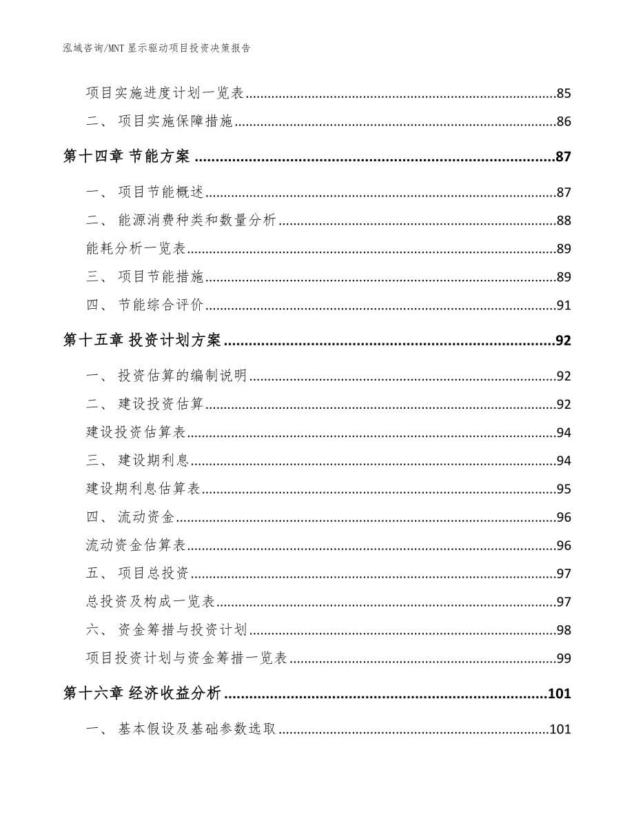 MNT显示驱动项目投资决策报告（模板）_第5页