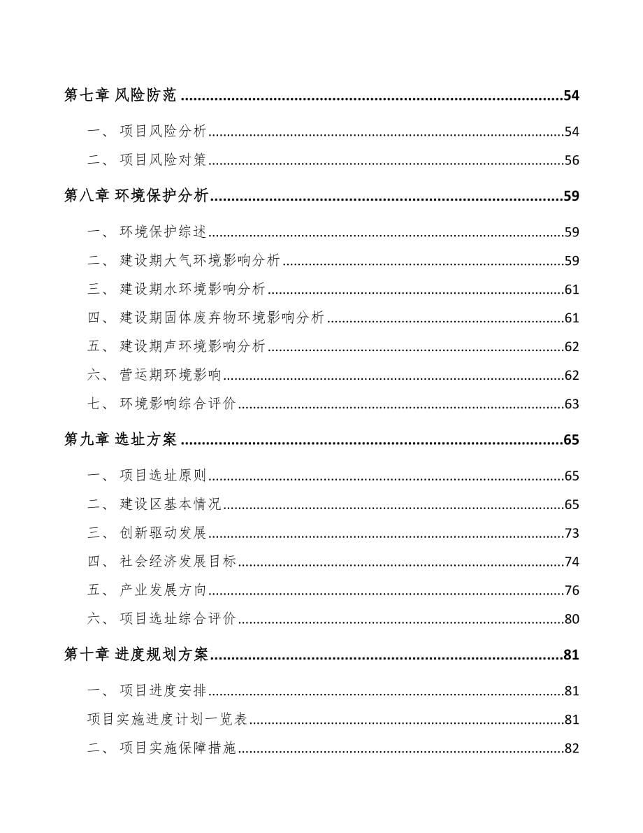 长春关于成立锂离子电池公司可行性研究报告_第5页