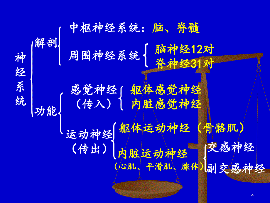 4144神经系统概述_第4页