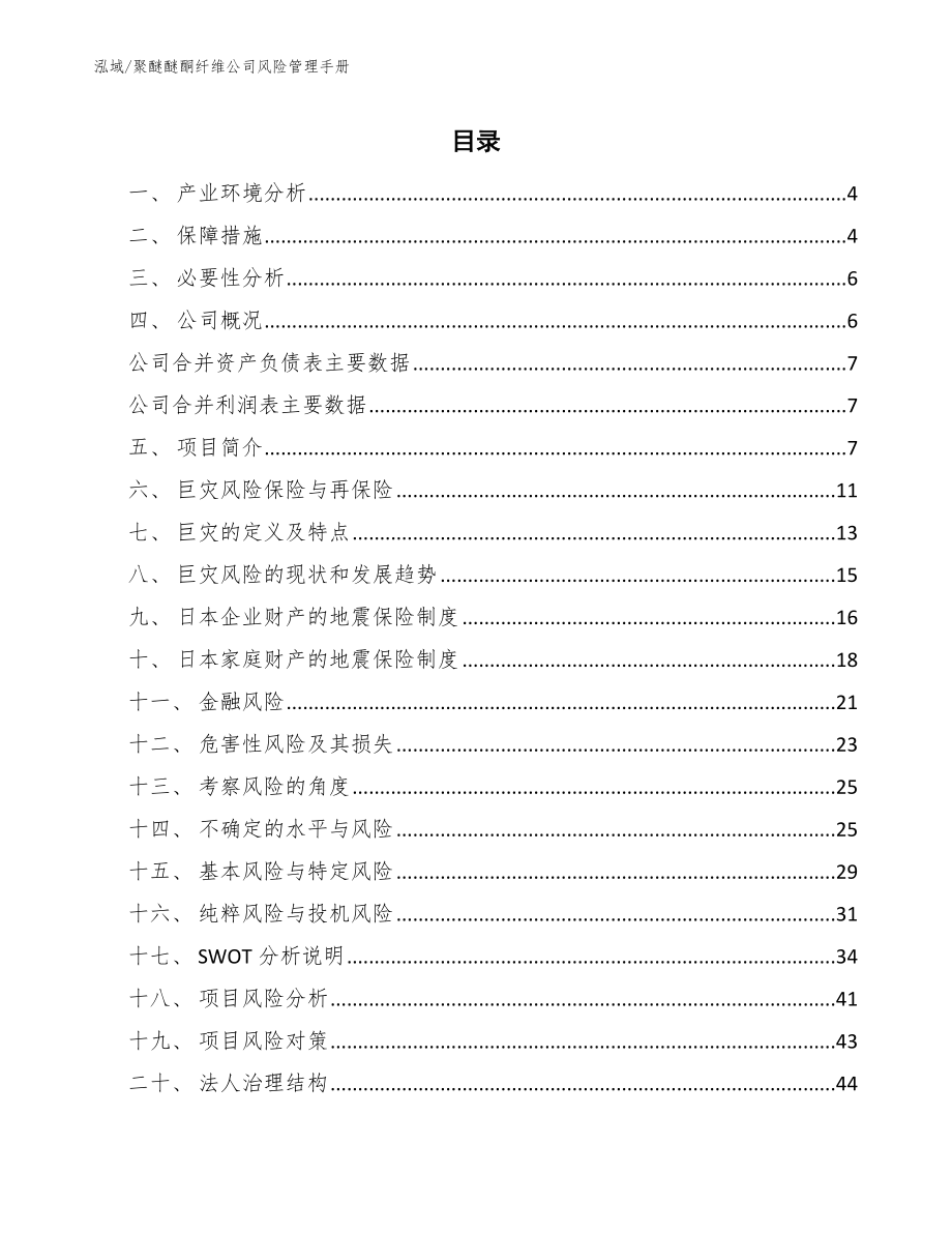 聚醚醚酮纤维公司风险管理手册（参考）_第2页