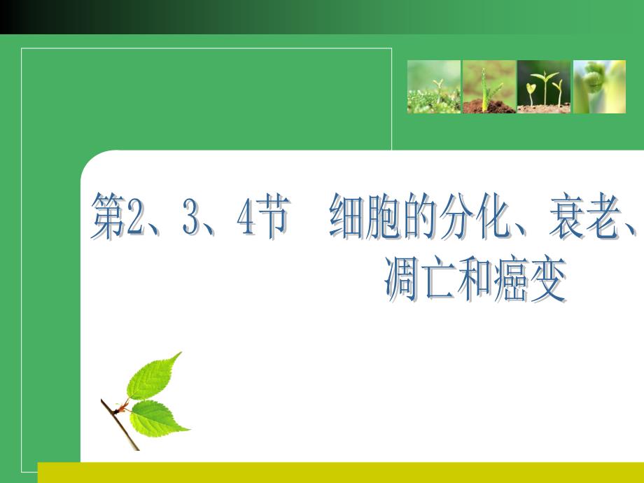 2011高考生物一轮复习精美课件：必修1第六章2、3、4节.ppt_第1页