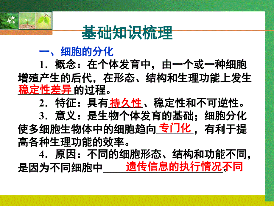 2011高考生物一轮复习精美课件：必修1第六章2、3、4节.ppt_第2页