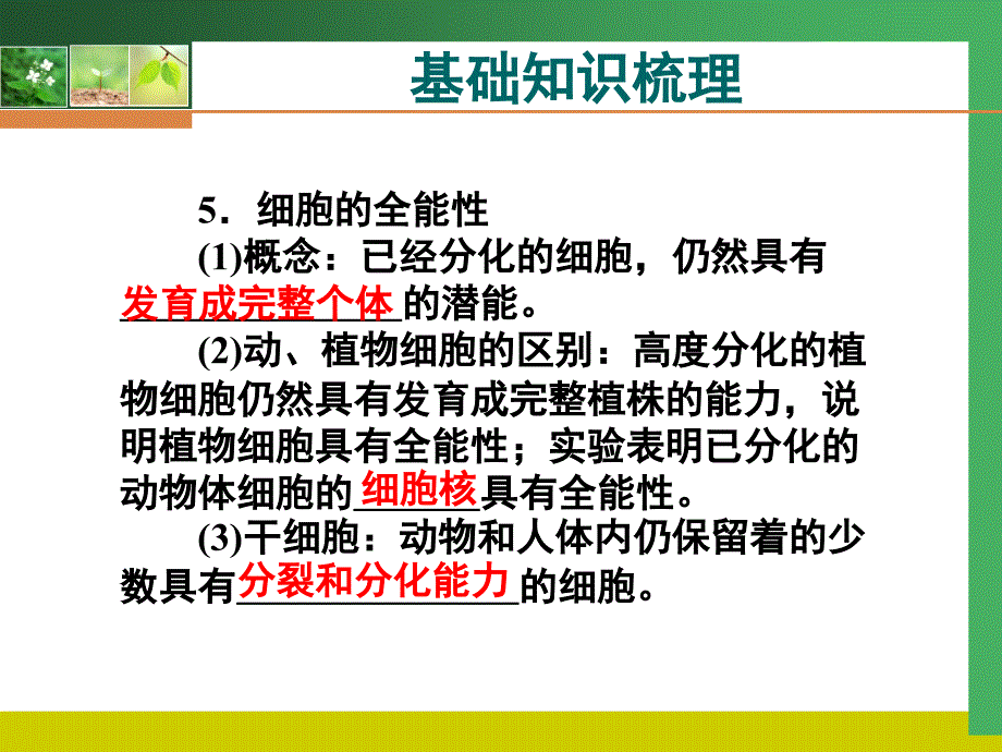 2011高考生物一轮复习精美课件：必修1第六章2、3、4节.ppt_第3页