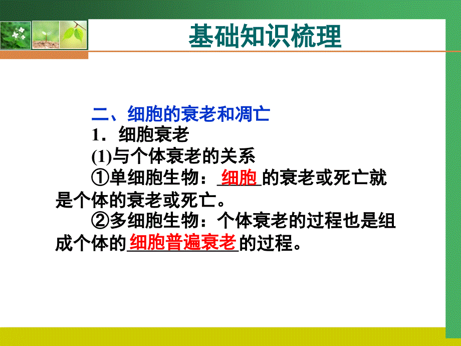 2011高考生物一轮复习精美课件：必修1第六章2、3、4节.ppt_第4页