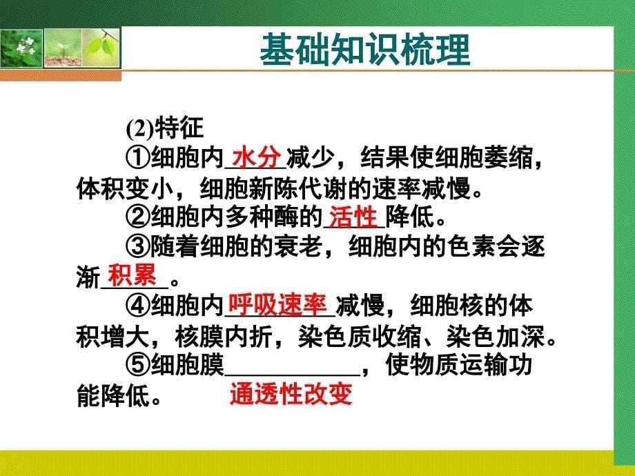 2011高考生物一轮复习精美课件：必修1第六章2、3、4节.ppt_第5页