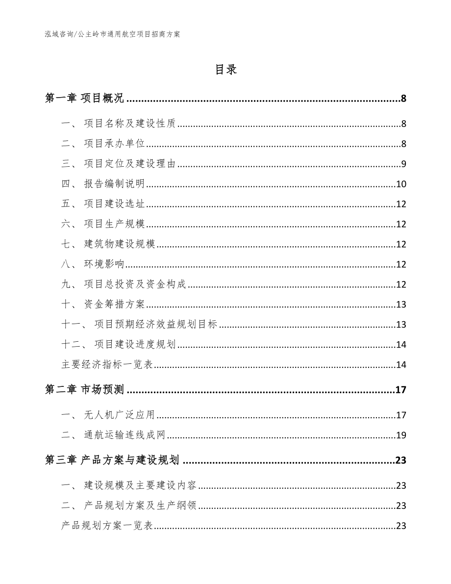 公主岭市通用航空项目招商（范文参考）_第1页
