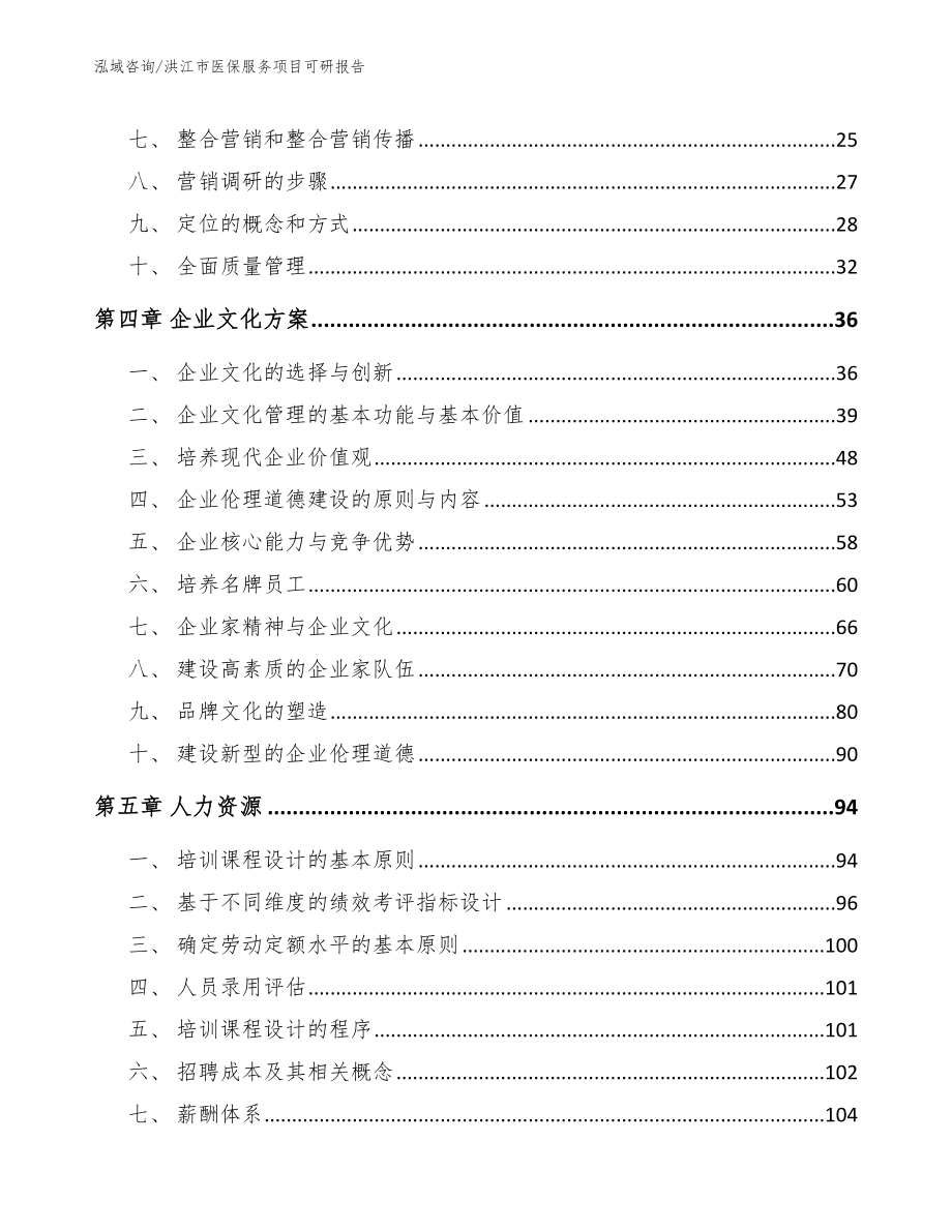 洪江市医保服务项目可研报告_模板参考_第2页