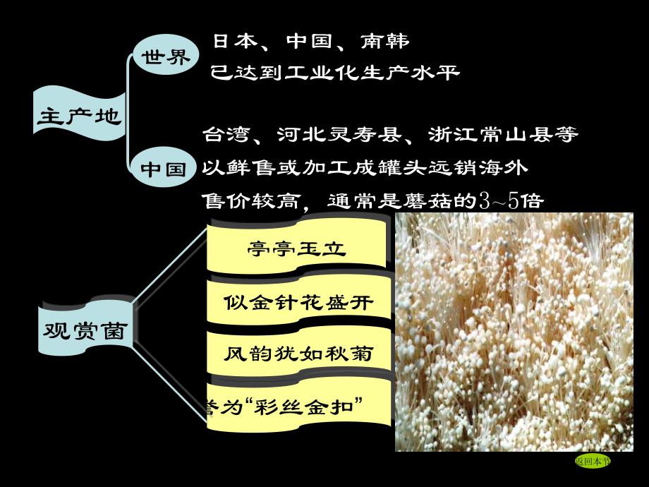 金针菇种植技术小窍门_第4页