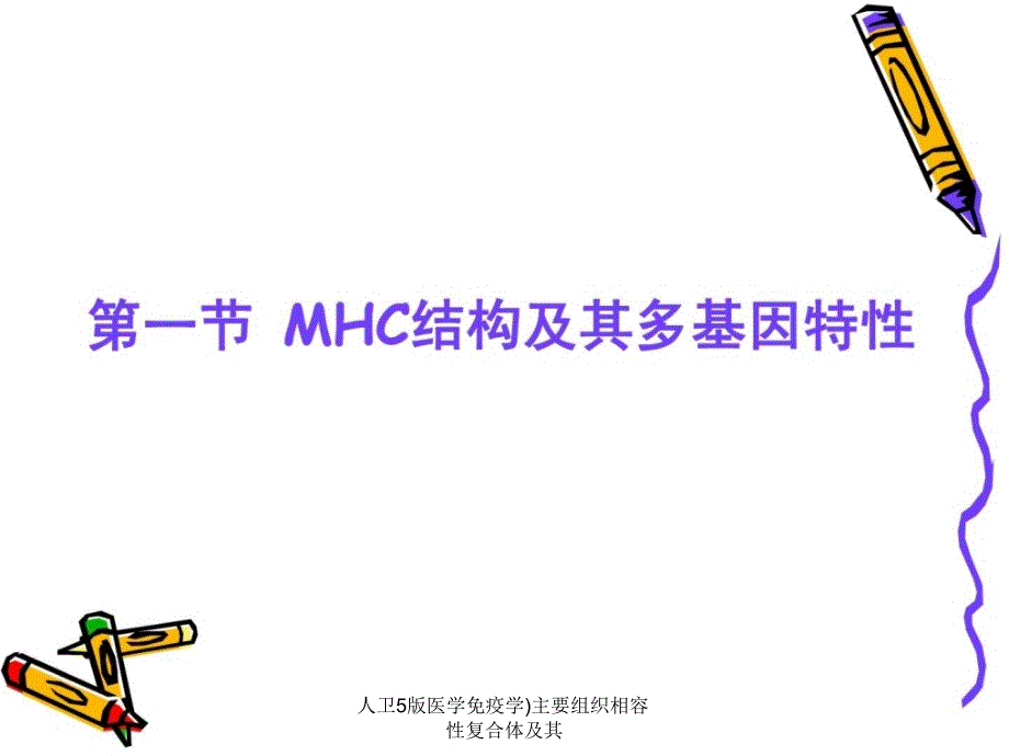 人卫5版医学免疫学主要组织相容性复合体及其课件_第4页