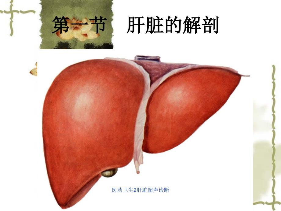 医药卫生2肝脏超声诊断课件_第2页