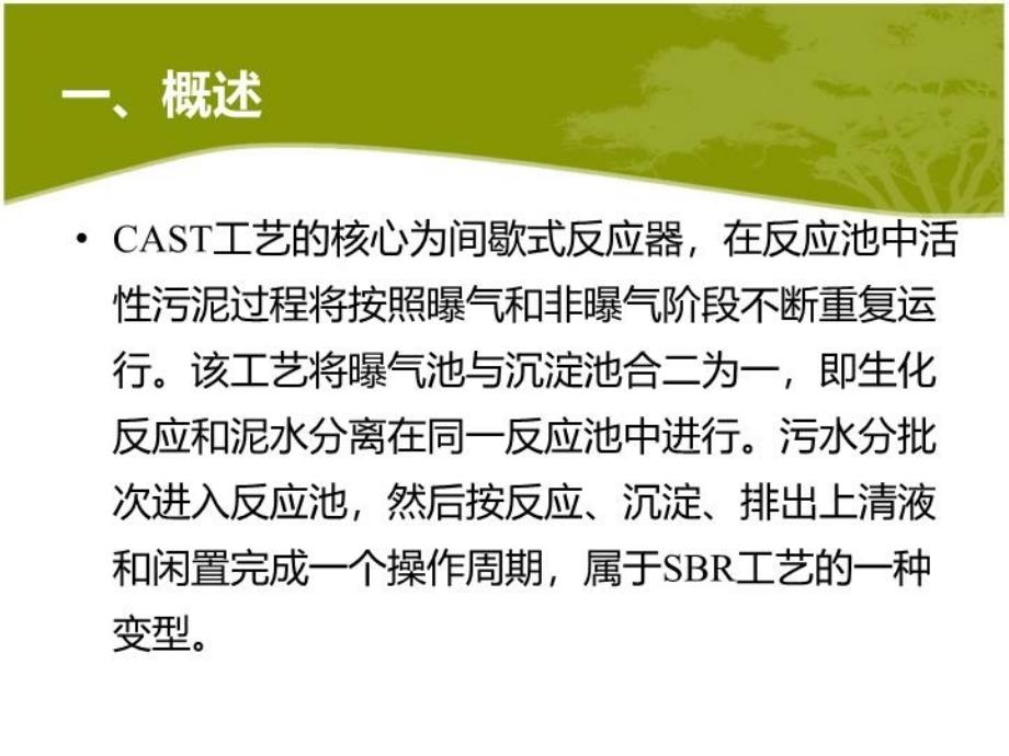 最新循环式活性污泥CAST工艺PPT课件_第4页