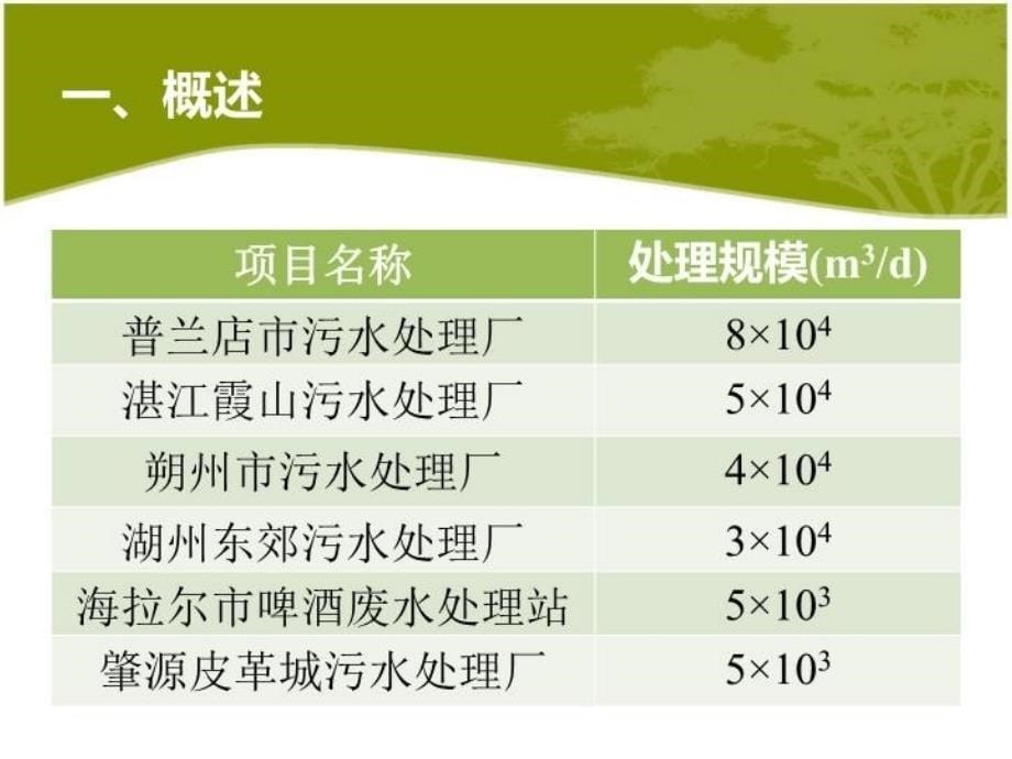 最新循环式活性污泥CAST工艺PPT课件_第5页