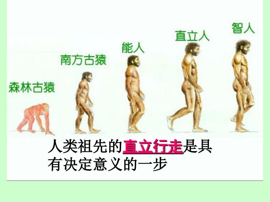 八年级下生物期末复习修改2_第2页