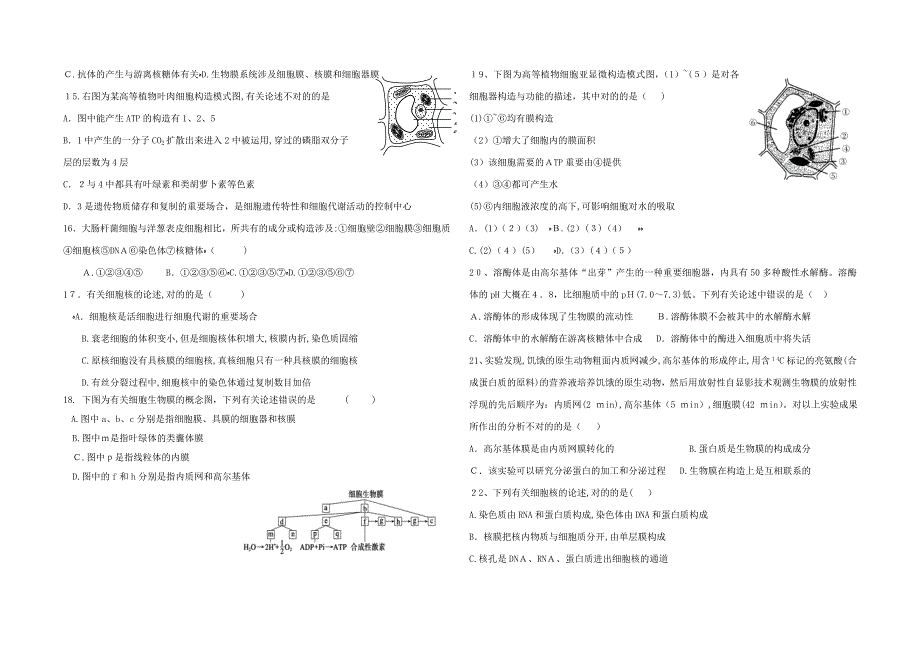 高中生物必修一练习题及答案_第2页