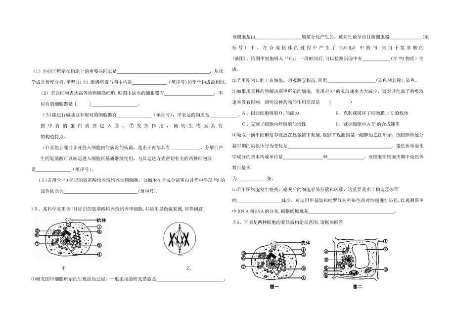 高中生物必修一练习题及答案_第5页