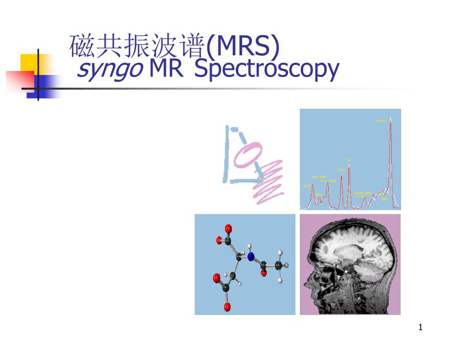 优质课件MR波谱学_第1页