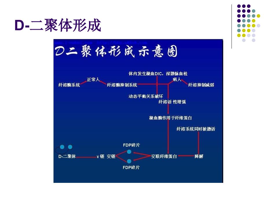 d二聚体心肌钙,pct ppt课件_第3页