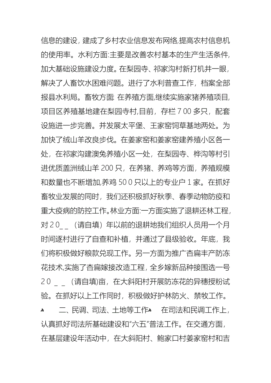 乡镇个人述职报告2_第2页