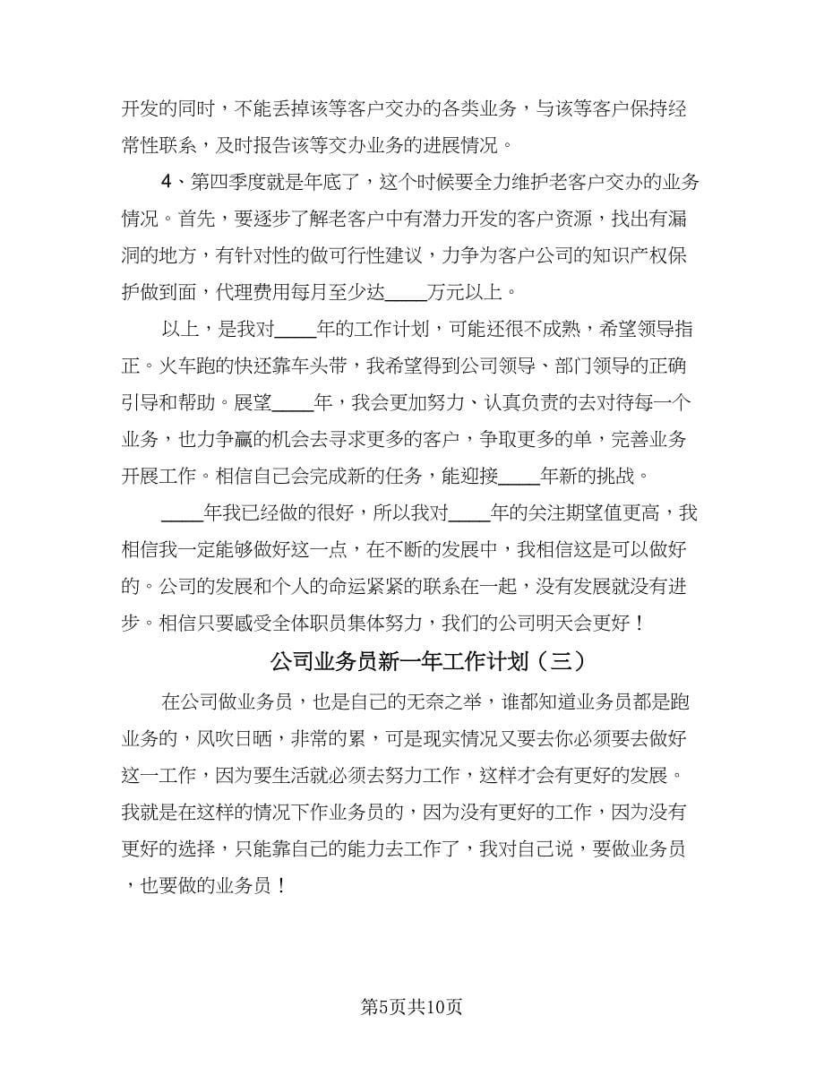 公司业务员新一年工作计划（四篇）.doc_第5页