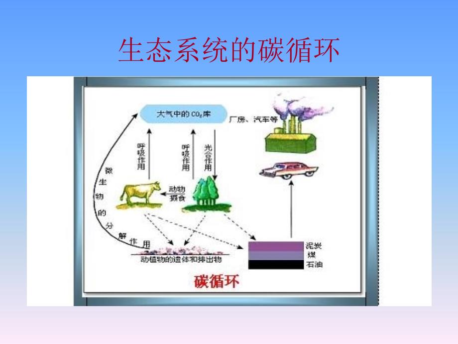 全球性的环境问题课件1_第4页