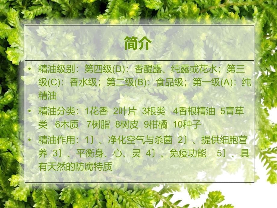 绿色山谷精油ppt课件_第5页