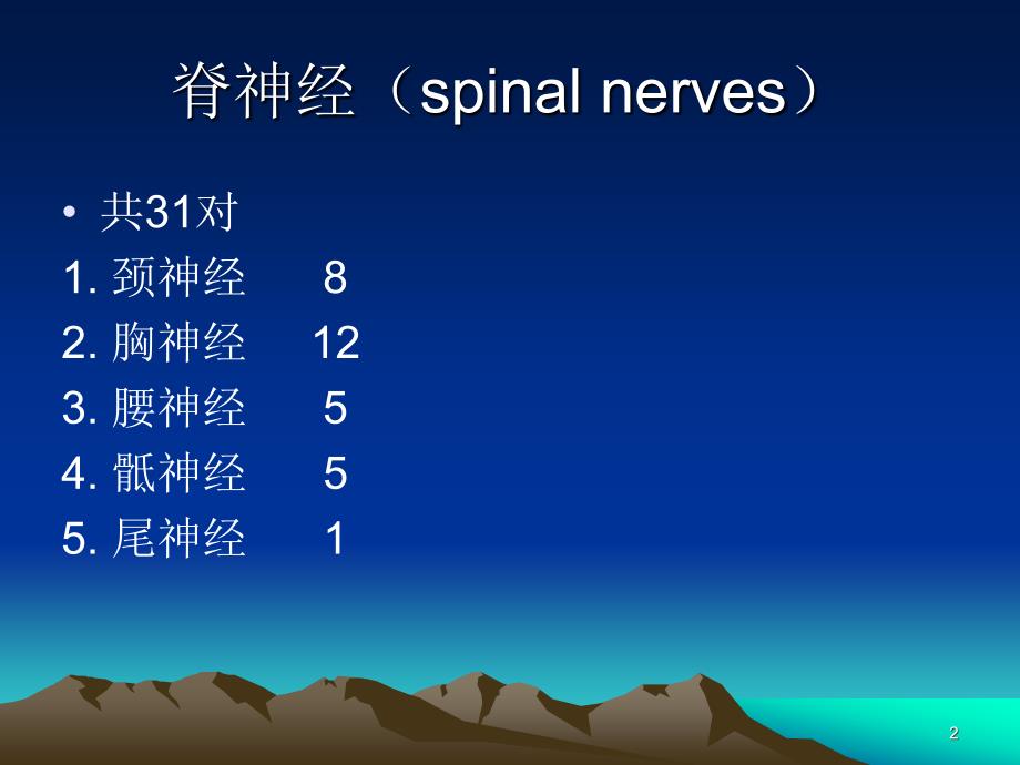 （优质课件）脊神经的体表定位_第2页