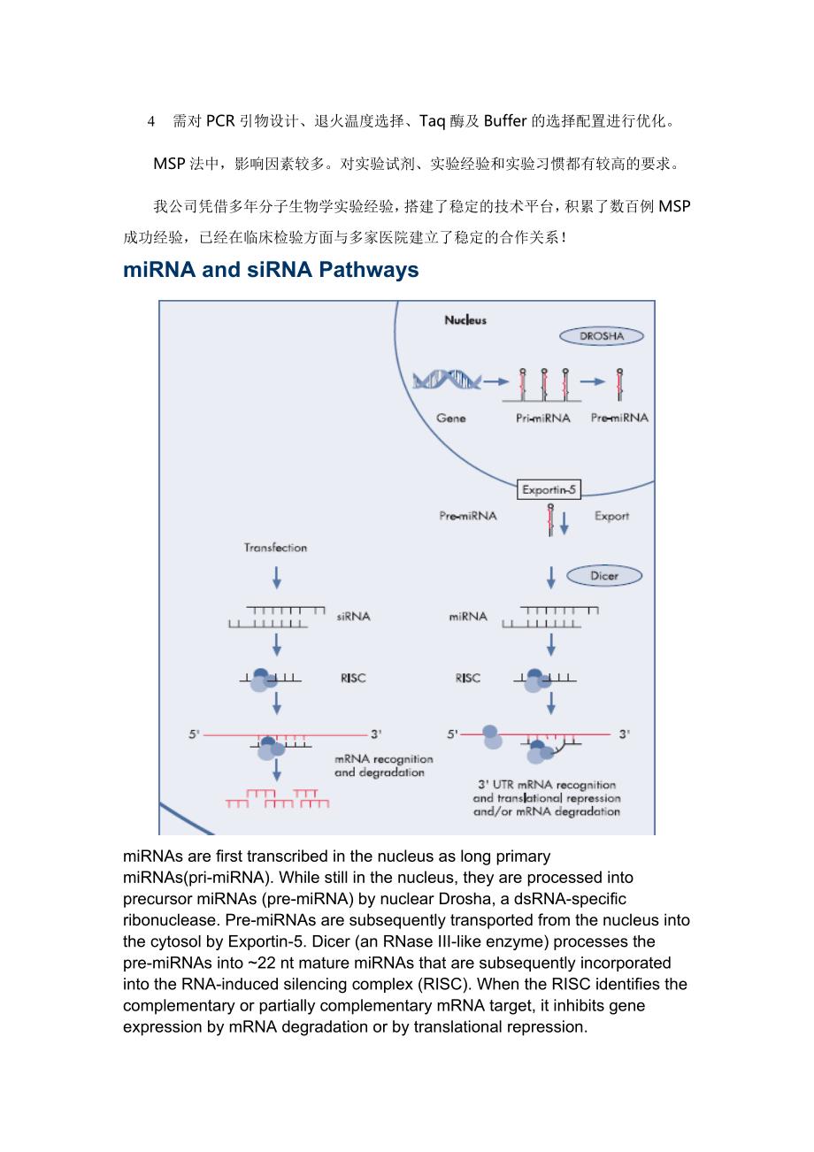 抑制性消减杂交 甲基化 miRNA and siRNA Pathways.doc_第4页