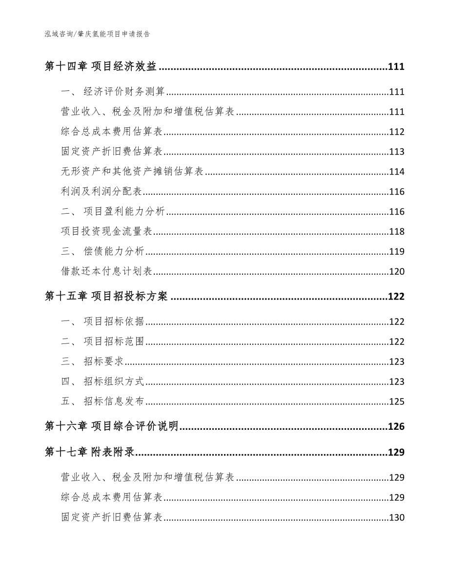 肇庆氢能项目申请报告（范文）_第5页