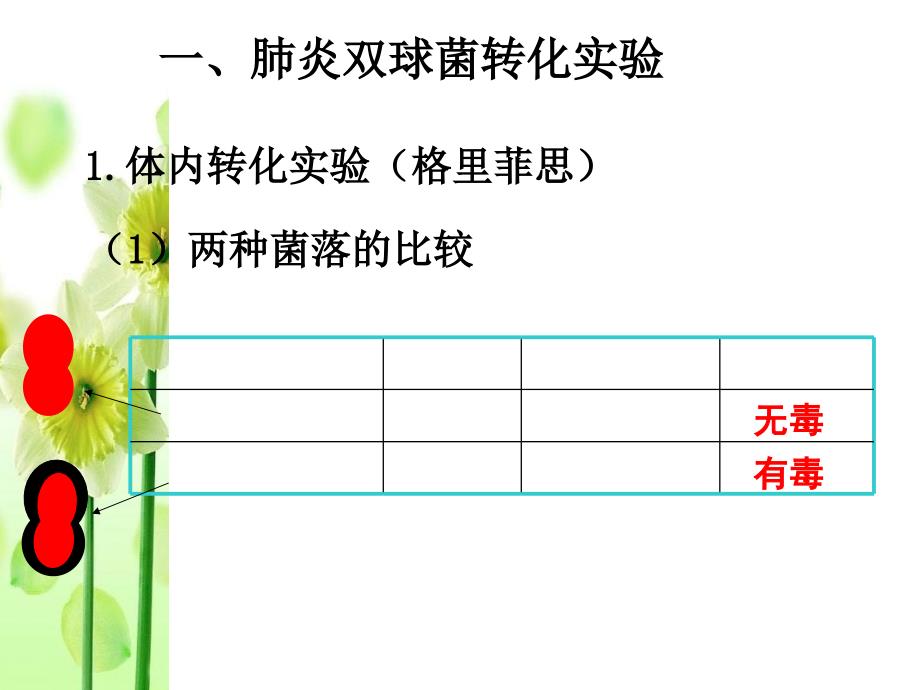 李扬高三一轮复习DNA是主要的遗传物质_第3页