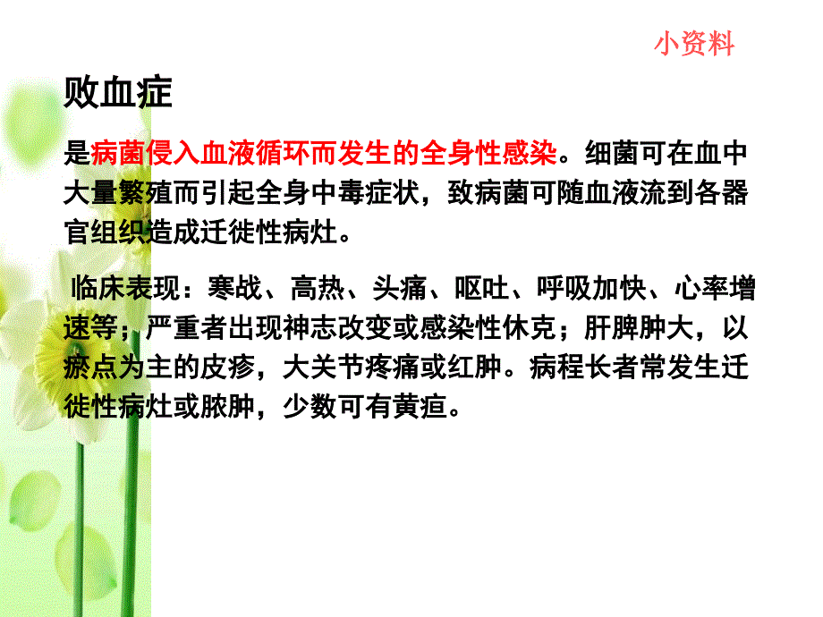 李扬高三一轮复习DNA是主要的遗传物质_第4页