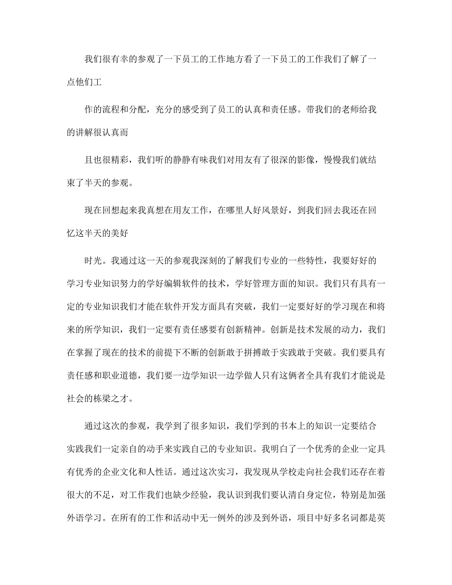 IT行业社会实践报告范文_第3页