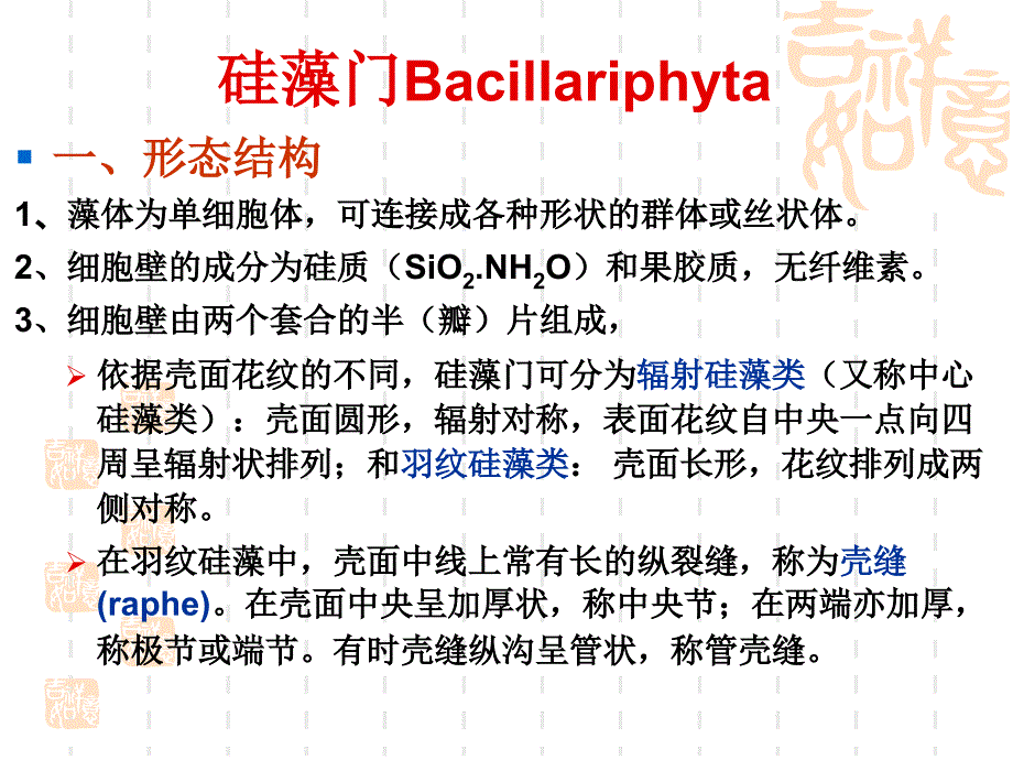 植物学教学课件：藻类2_第1页