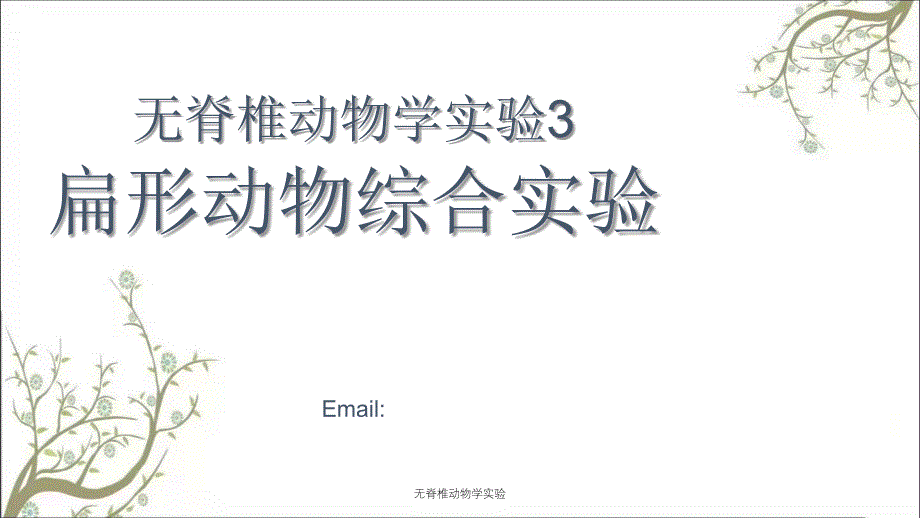 无脊椎动物学实验课件_第1页