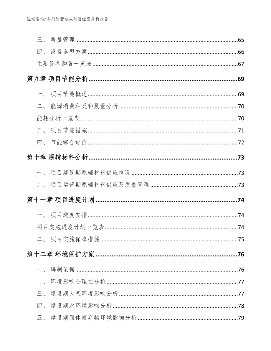 车用胶管总成项目经营分析报告_第3页