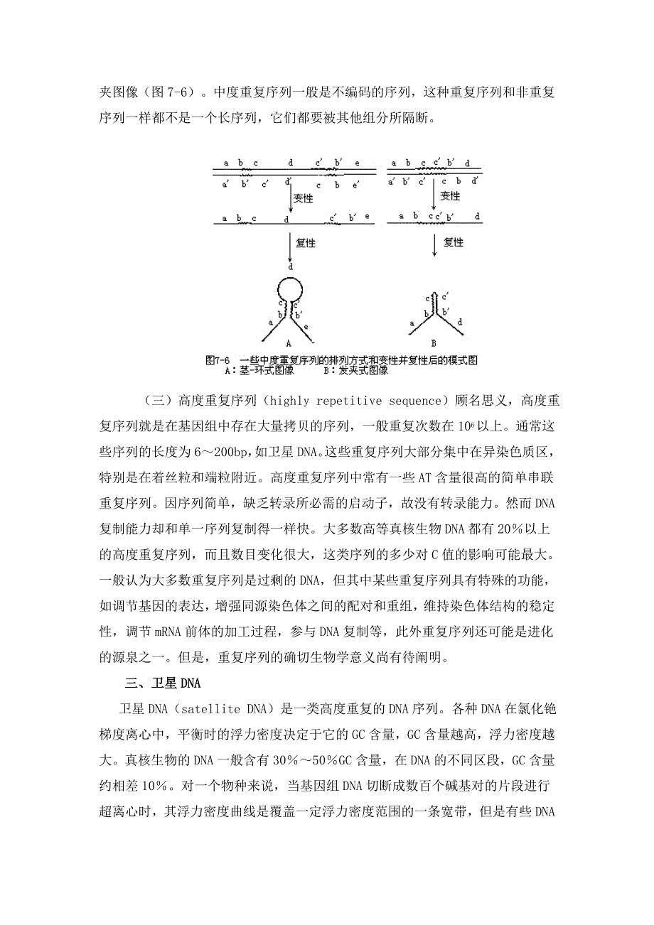 真核生物基因组DNA序列的复杂度.doc_第4页