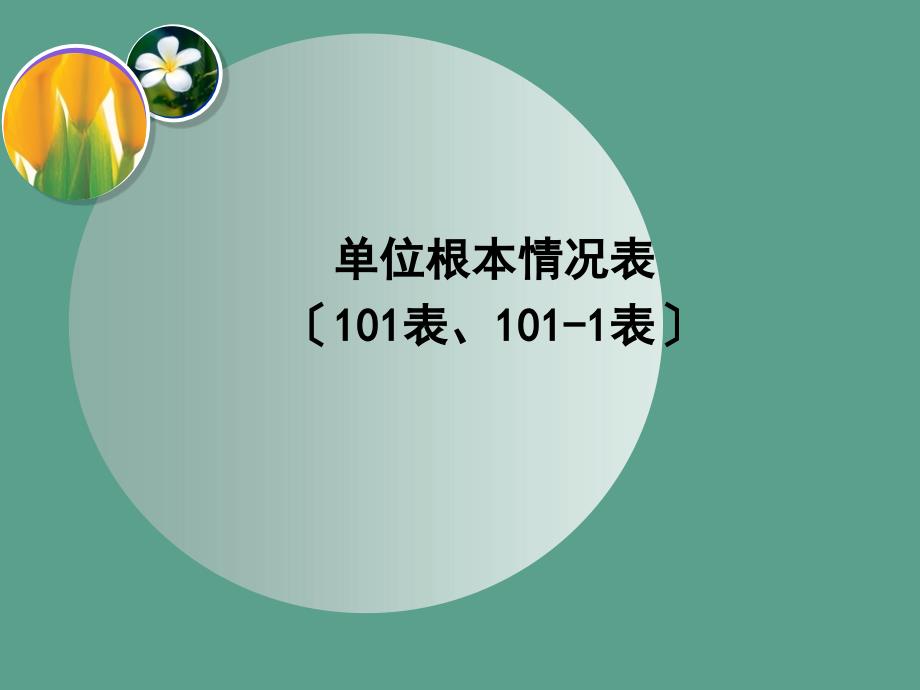 单位基本情况表101表1011表ppt课件_第1页