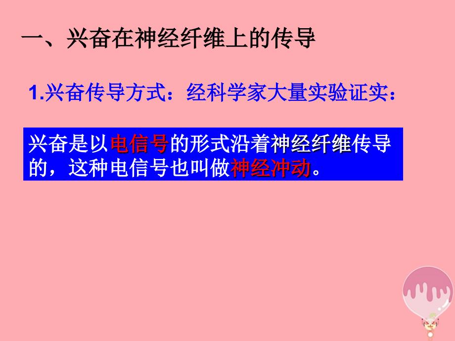 河北省南宫市高中生物 第二章 动物和人体生命活动的调节 2.1 通过神经系统调节课件 新人教必修3_第4页